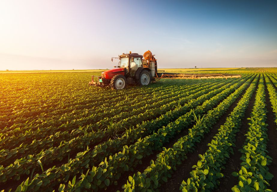 Para Agronegócio Para Agronegócio